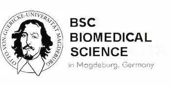 Studiengang_BMSc Logo englisch_deutsch Studiengang_BMSc Logo englisch_deutsch
