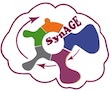 Logo_SynAge cropped Kopie Logo_SynAge cropped Kopie